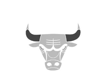 bulls